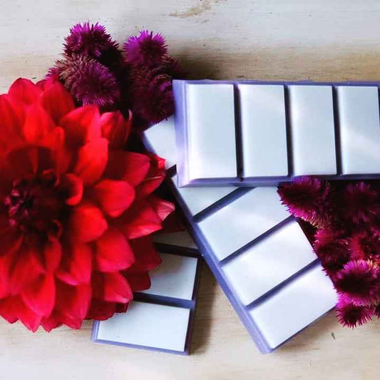 Blueberry & Vanilla Snap Bar