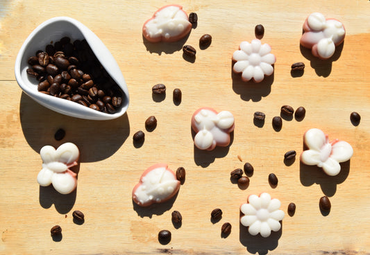 coffee soy wax melts nature