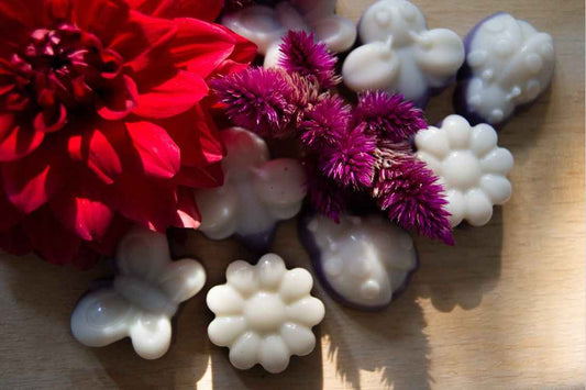 Blueberry & Vanilla Nature Themed Wax Melts