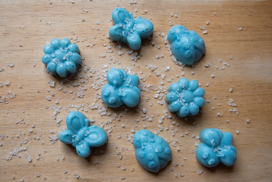 Sea Breeze Nature Themed Wax Melts